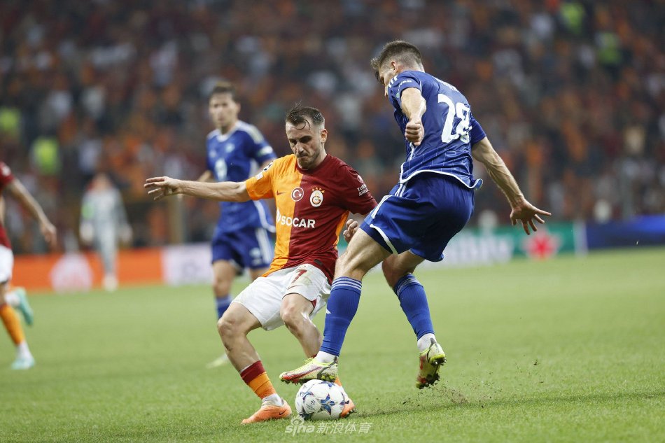 结构化分段 结构化分段